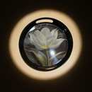 Comfy Homes Round Melamine Tray | Durable, Stackable Serving Tray | Premium Printed Serveware for Kitchen, Dining Table, Coffee Table, Office Desk, Parties, Snacks, Breakfast & More (White Lily)-5