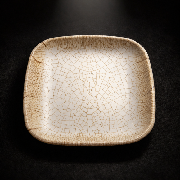 Snack & Chaat Serve Plate Set | Premium Melamine Plates for Indian Serving (Blush Sand)