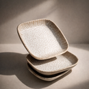 Snack & Chaat Serve Plate Set | Premium Melamine Plates for Indian Serving (Blush Sand)-2