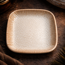 Snack & Chaat Serve Plate Set | Premium Melamine Plates for Indian Serving (Blush Sand)-1