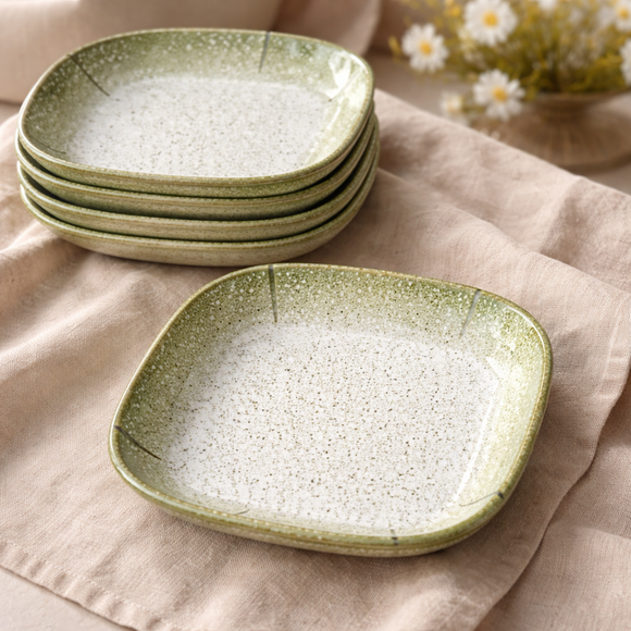 Snack & Chaat Serve Plate Set | Premium Melamine Plates for Indian Serving (Sage Green)