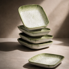 Snack & Chaat Serve Plate Set | Premium Melamine Plates for Indian Serving (Sage Green)