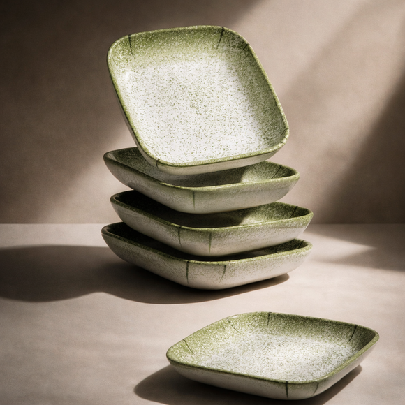 Snack & Chaat Serve Plate Set | Premium Melamine Plates for Indian Serving (Sage Green)