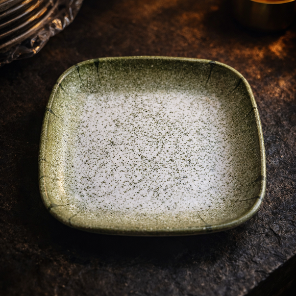 Snack & Chaat Serve Plate Set | Premium Melamine Plates for Indian Serving (Sage Green)