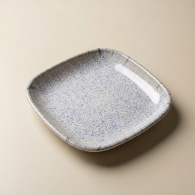 Snack & Chaat Serve Plate Set | Premium Melamine Plates For Indian Serving (Reef Blue)