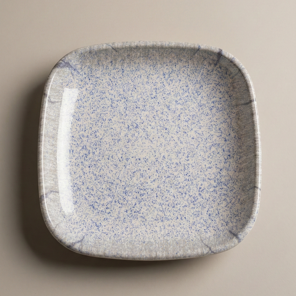 Snack & Chaat Serve Plate Set | Premium Melamine Plates For Indian Serving (Reef Blue)