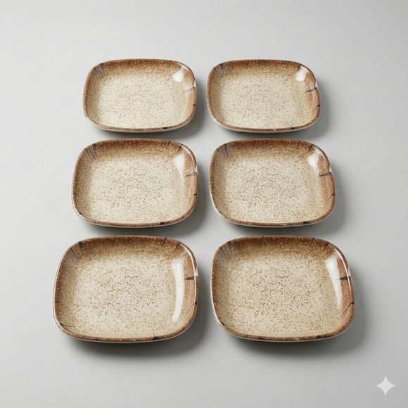 Snack & Chaat Serve Plate Set | Premium Melamine Plates For Indian Serving (Rusty Brown)